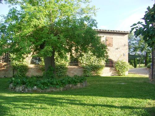Фотография базы отдыха Villa Podere Cartaio Bio Estate Pool AirC