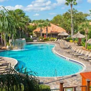 Фотографии гостиницы
DoubleTree by Hilton Hotel Orlando at SeaWorld