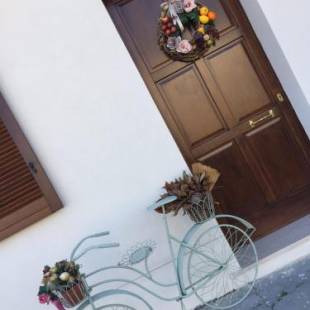 Фотографии мини отеля
B&B Villa Angela Vallemare