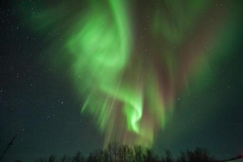 Фотографии хостела
Териба