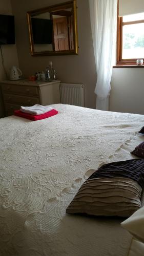 Фотография мини отеля Great Danes Country Inn