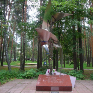 Фотография памятника Сломанные крылья