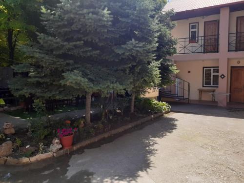 Фотография гостиницы Тропик