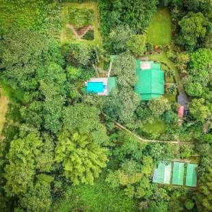 Фотографии гостевого дома 
            Tropical Paradise Bungalows