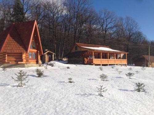 Фотография гостевого дома Molfar House