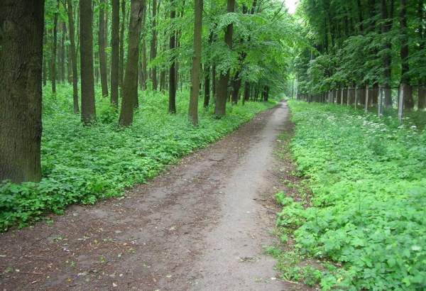 Фотография достопримечательности Ботанический сад