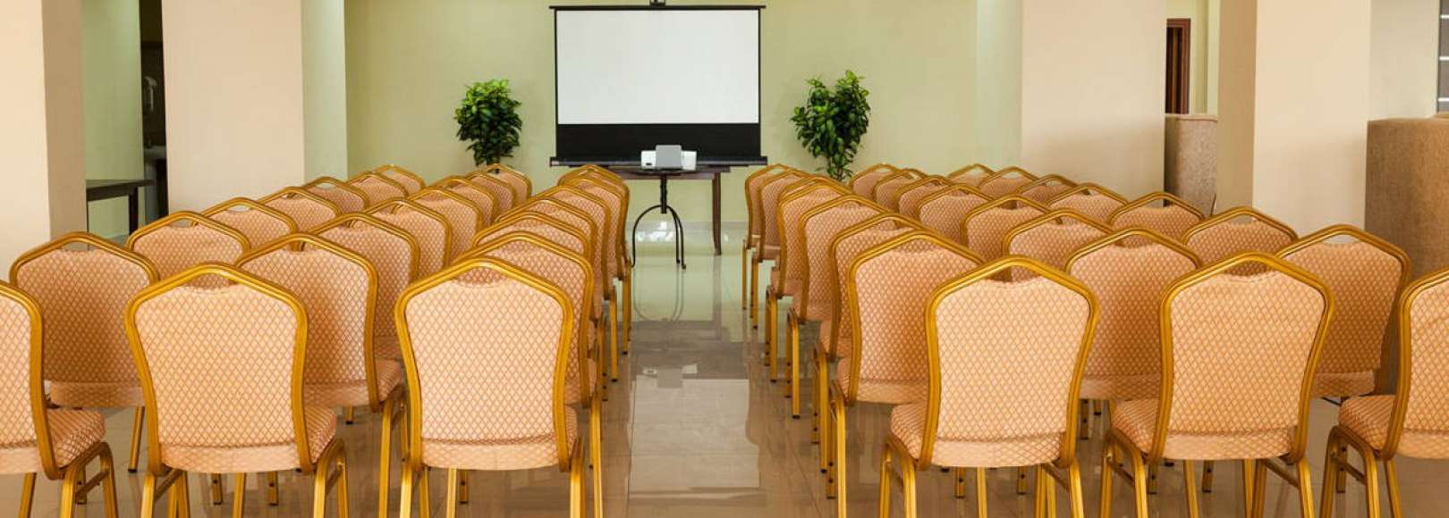 Фотография конференц-зала Лобби-Бар