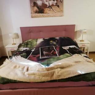 Фотографии базы отдыха
Tenuta I Ginepri