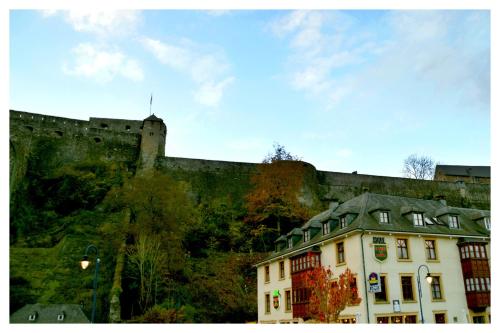 Фотографии гостиницы 
            Hotel La Porte de France