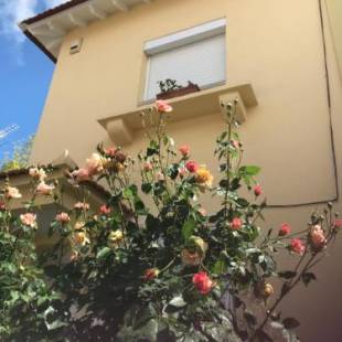 Фотографии гостевого дома 
            A casa do bairro