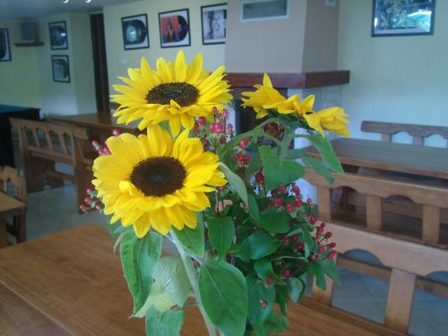 Фотография гостиницы Willa Jasna