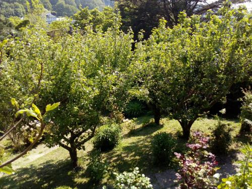 Фотография гостевого дома 12 Impasse Damilaville