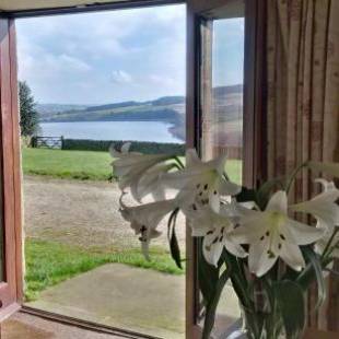 Фотографии гостевого дома 
            Pott Hall