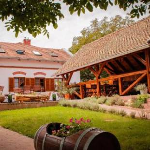 Фотографии мини отеля
Diófa Panzió