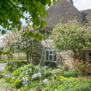 Фотографии мини отеля
Tudor Cottage B&B Frampton