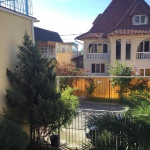 Фотография мини отеля Sea Palm