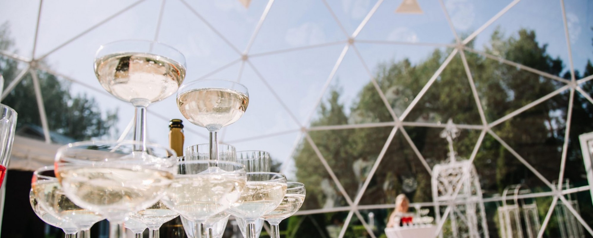 Фотографии летней террасы Розовый сад