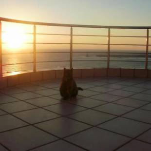 Фотографии гостевого дома
Charly Point Villa