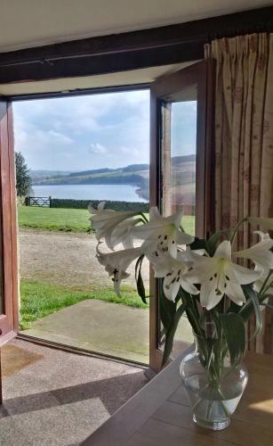 Фотография гостевого дома Pott Hall