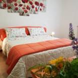 Фотография мини отеля May flowers