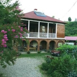 Фотография гостевого дома Guesthouse Boboti