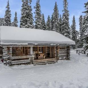 Фотографии гостевого дома
Holiday Home Seitsemän savua 6