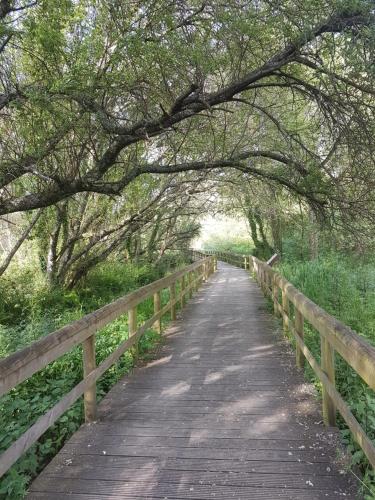 Фотография гостевого дома Ulfilanis Vila