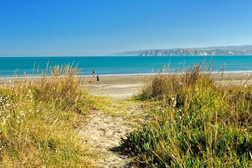 Фотография мотеля Whispering Sands Beachfront Motel