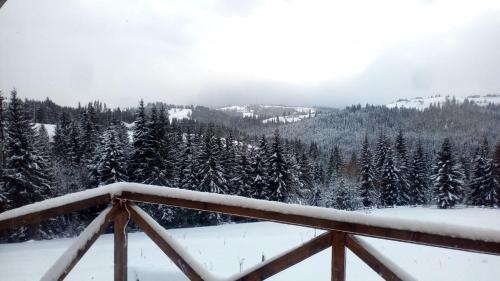 Фотографии гостевого дома 
            Афорест