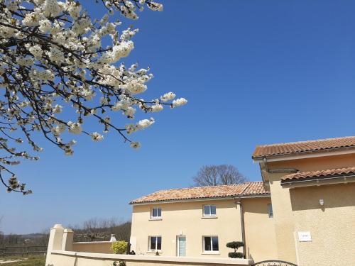 Фотографии гостевого дома 
            LE PRESSOIR