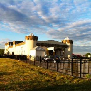 Фотографии гостиницы 
            Zamek Camelot