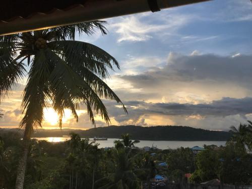 Фотография мини отеля Ocean Terrace