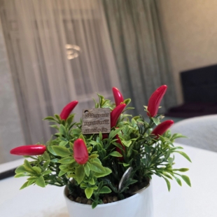 Фотография квартиры Квартира ЖК Тимошенко