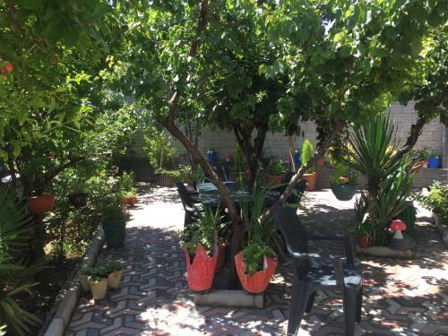 Фотография хостела Ortachala Summer House