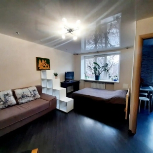 Фотография квартиры Квартира 1к Olivinn на Горького