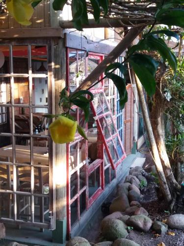 Фотография мини отеля Pousada Amaravida