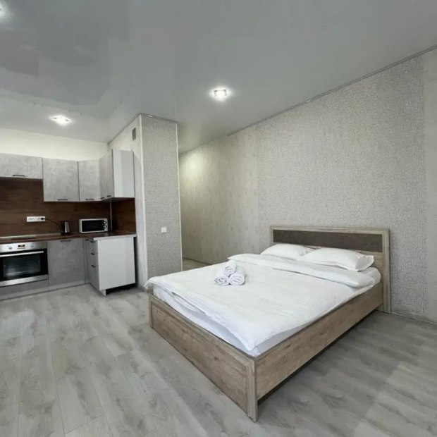 Фотографии квартиры 
            Апартаменты на улице Смолина  61