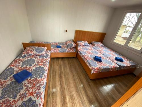 Фотографии кемпинга
Кедр