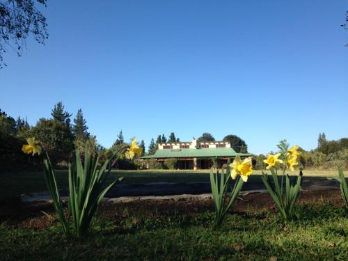 Фотография гостевого дома Trengwainton House