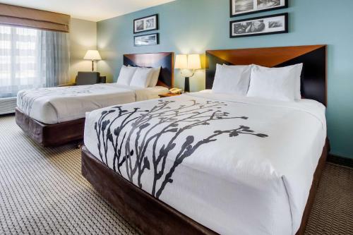 Фотография гостиницы Sleep Inn & Suites Rapid City