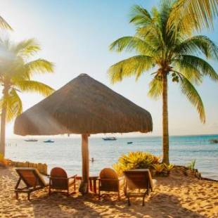 Фотографии мини отеля
Pousada Ponta do Muta