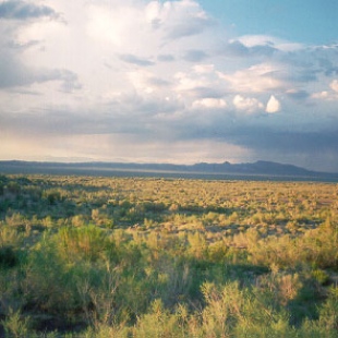 Фотография достопримечательности Заповедник Половецкая степь