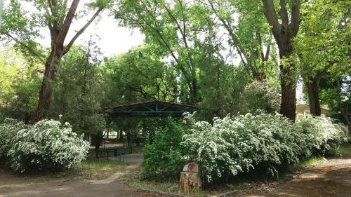 Фотографии базы отдыха
Юный связист