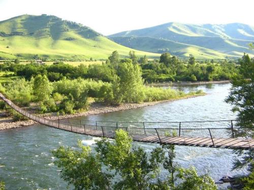 Фотография хостела Синяя птица