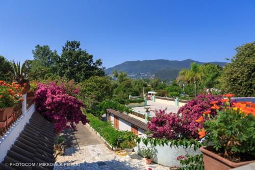 Фотография гостиницы Centro Ferie Salvatore