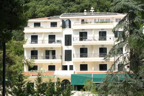 Фотография гостиницы Hotel Danica