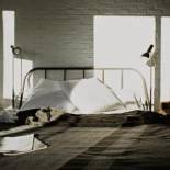 Фотография хостела room007 Ventura Hostel