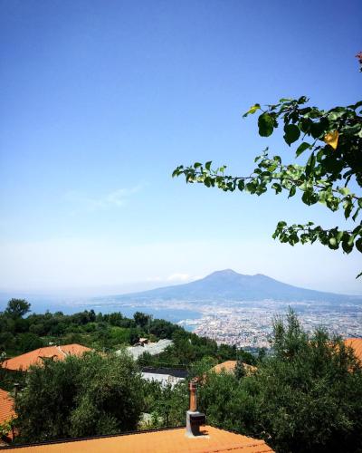 Фотография гостевого дома Casa Antonia