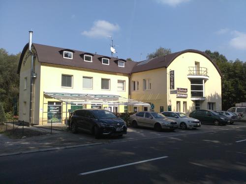 Фотография гостиницы Hotel Boršičanka