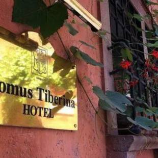 Фотографии гостиницы 
            Hotel Domus Tiberina
